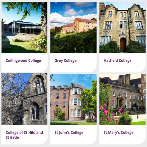 17 所自治易游体育
（一）：Collingwood、Grey、Hatfield、St Hild & St Bede、St John's、St Mary's