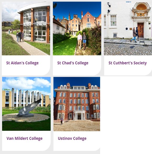 17 所自治易游体育
（三）：St Aidan's、St Chad's、St Cuthbert's Society、Van Mildert、Ustinov